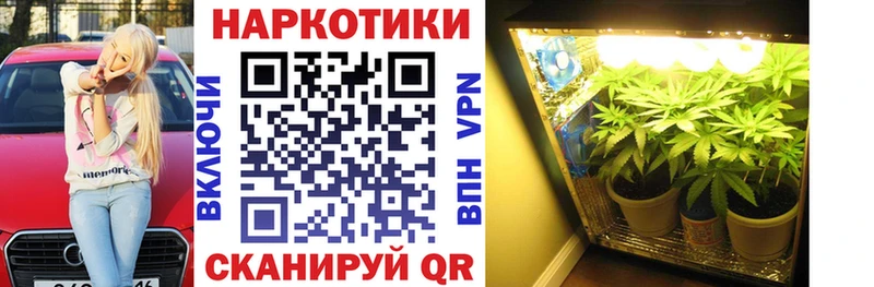 Все наркотики Козловка APVP Бошки Шишки Мефедрон мега ССЫЛКА Галлюциногенные грибы Cocaine ГАШИШ