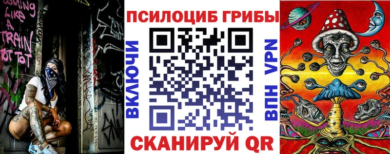 гидра маркетплейс  купить наркоту  Козловка  Псилоцибиновые грибы мицелий 